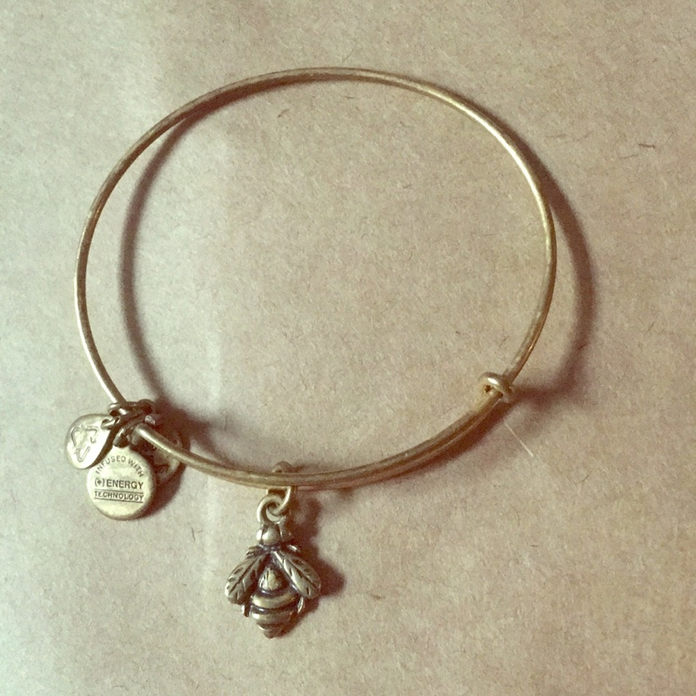 Alexi and Ani bangle